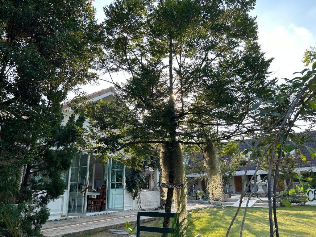 منتجع كاريزما سوان فونج المظهر الخارجي الصورة